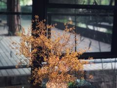 -箱美术馆私房菜(水晶郦城店)
