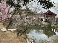 景点-香雪海