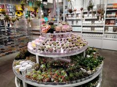 -KKV(深圳宏发大仟里店)