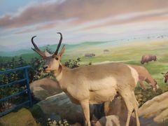 -陕西自然博物馆