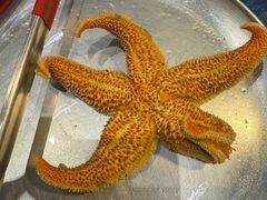 -船梆煮•蒸汽海鲜·生腌干蒸(五四广场店)