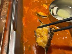 红白汤梭边鱼-新辣道鱼火锅(国瑞城店)