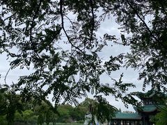 -桂湖森林公园