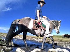 -青海湖国家重点风景名胜区
