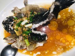 清蒸笋壳鱼-东海海鲜酒家(中信广场店)