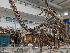 -中国地质大学逸夫博物馆