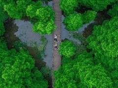 -桤木河湿地公园