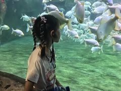 -蓬莱欧乐堡海洋极地世界