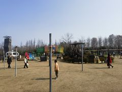 -上海长兴岛郊野公园