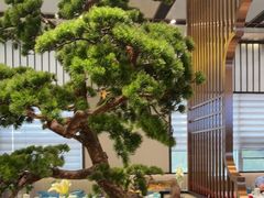 -聆桂烤鸭·金奖烤鸭(静联广场店)