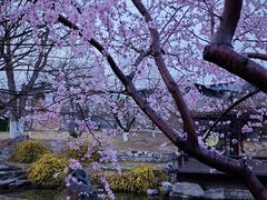 -三里河公园