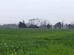 -蜀绣公园
