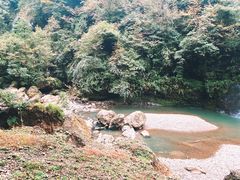-龙苍沟森林公园