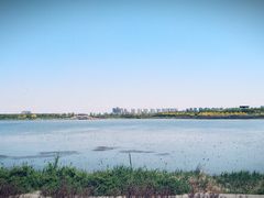 -天津东丽湖风景区