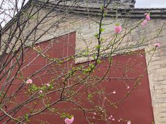 -西安市广仁寺