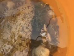 -北海金海湾红树林生态旅游区