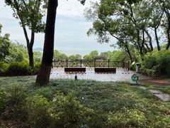 -上海市保健医疗中心