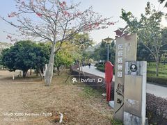 -中山市树木园