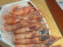 -新一喜铁板料理餐厅·铁板放题(北国商城店)