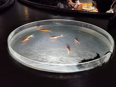 -大树餐厅(红旗街万达店)