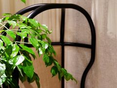 -GRACE CHEN高级时装