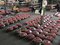 -江杨农产品批发市场