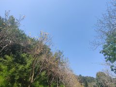 -狐尾山公园