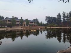 -中家鑫园温泉酒店鑫悦汤泉