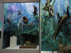 -国家自然博物馆