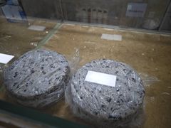 -杨招娣糕点(装驾桥巷店)