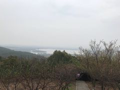 -香雪海