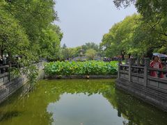 -洛阳白马寺