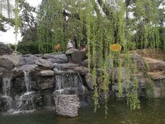 -西安青龙寺遗址景区