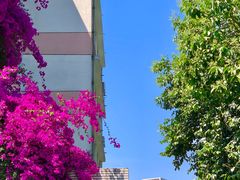 -四川大学(望江校区)