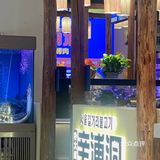 深圳｜请吃烤鳗鱼的漂亮姐姐