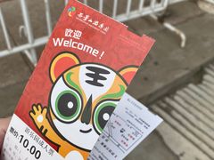 -北京石景山游乐园