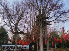 -终南山古楼观历史文化景区