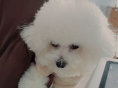 -佳雯宠物医院·皮肤科·内外科(春晓路分院)