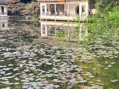 -杭州植物园