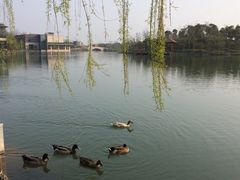 怡沁园度假村-上海怡沁园度假酒店