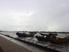 -大湾区中央湿地公园