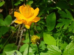 -小五台金河景区