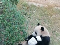 -大连森林动物园