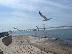 -星海广场
