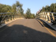 -西安浐灞国家湿地公园