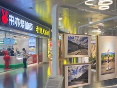 -银川河东国际机场