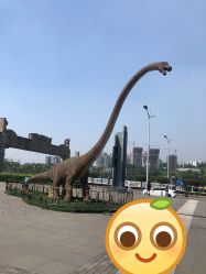 -恐龙探索乐园(磁器口店)