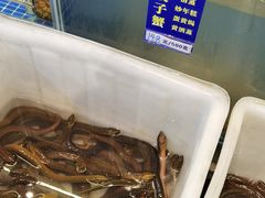-群乐饭店(滨安路店)