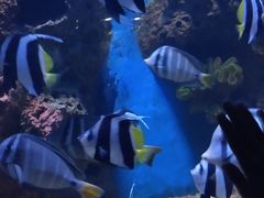 -多彩贵州城极地海洋世界