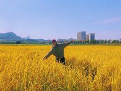 -光明小镇欢乐田园